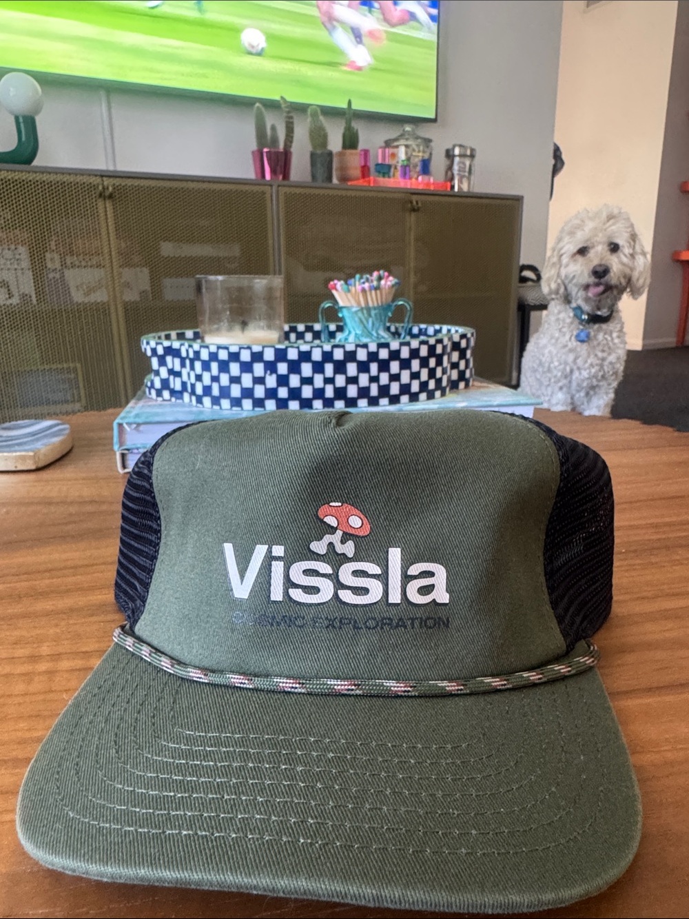 VISSLA Olive Green and Black Mesh Trucker Hat with Mushroom Logo